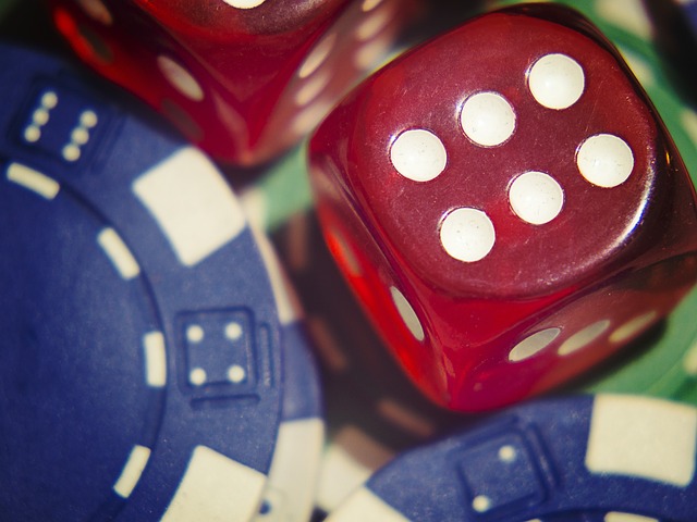 Gambling Tech Startups